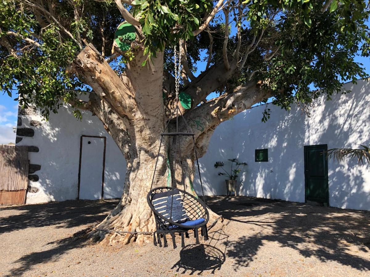Finca Los Llanitos Guía de Isora Eksteriør bilde