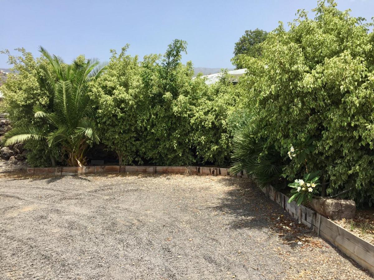 Finca Los Llanitos Guía de Isora Eksteriør bilde